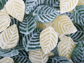 Feuilles menthes CBD