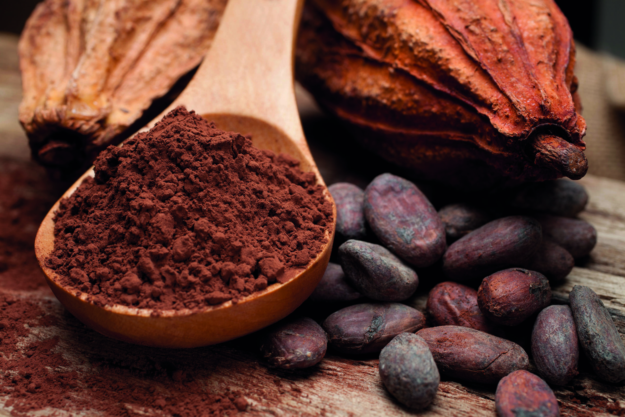 Fèves de cacao et cacao en poudre